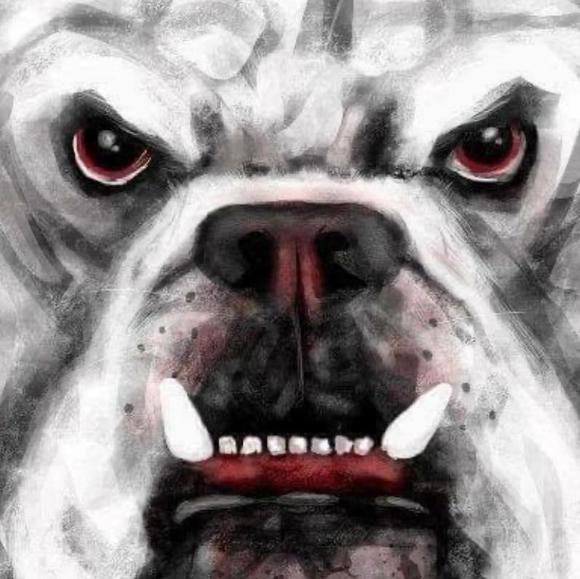 Meet your Posher, Renee - Picture 1 of 1